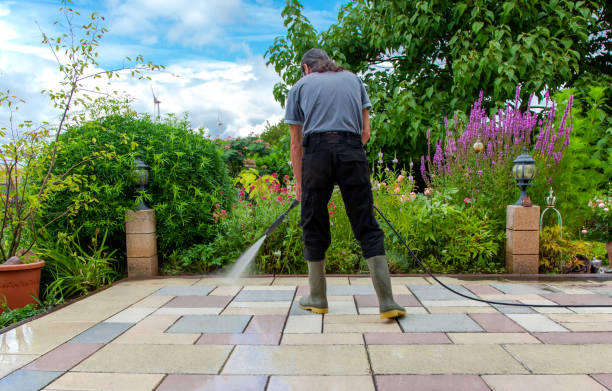 Best Sidewalk and Walkway Cleaning  in Sudan, TX